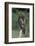 Red-Tailed Hawk Perches on Post-W^ Perry Conway-Framed Photographic Print