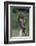 Red-Tailed Hawk Perches on Post-W^ Perry Conway-Framed Photographic Print