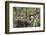 Red-Tailed Hawk with Four Chicks in Nest Near Stanford, Montana, Usa-Chuck Haney-Framed Photographic Print