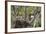 Red-Tailed Hawk with Four Chicks in Nest Near Stanford, Montana, Usa-Chuck Haney-Framed Photographic Print