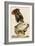 Red-Tailed Hawk-John James Audubon-Framed Giclee Print