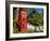 Red Telephone Box, Alameda Gardens, Gibraltar, Europe-Giles Bracher-Framed Photographic Print