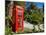 Red Telephone Box, Alameda Gardens, Gibraltar, Europe-Giles Bracher-Mounted Photographic Print