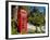 Red Telephone Box, Alameda Gardens, Gibraltar, Europe-Giles Bracher-Framed Photographic Print