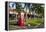 Red Telephone Box in Downtown Oranjestad, Capital of Aruba, ABC Islands, Netherlands Antilles-Michael Runkel-Framed Premier Image Canvas