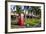 Red Telephone Box in Downtown Oranjestad, Capital of Aruba, ABC Islands, Netherlands Antilles-Michael Runkel-Framed Photographic Print