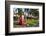 Red Telephone Box in Downtown Oranjestad, Capital of Aruba, ABC Islands, Netherlands Antilles-Michael Runkel-Framed Photographic Print