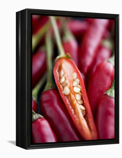 Red Thai Chillies-Greg Elms-Framed Premier Image Canvas