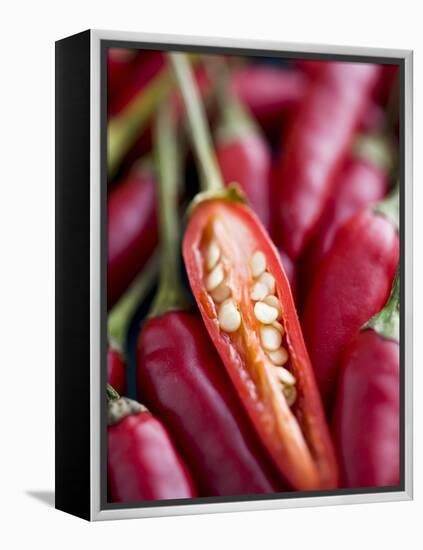 Red Thai Chillies-Greg Elms-Framed Premier Image Canvas