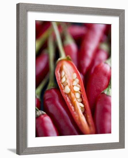 Red Thai Chillies-Greg Elms-Framed Photographic Print