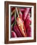 Red Thai Chillies-Greg Elms-Framed Photographic Print