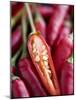 Red Thai Chillies-Greg Elms-Mounted Photographic Print