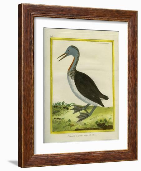 Red-Throated Diver-Georges-Louis Buffon-Framed Giclee Print