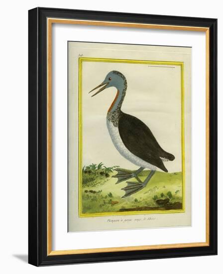 Red-Throated Diver-Georges-Louis Buffon-Framed Giclee Print