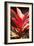 Red Ti Leaves-Karyn Millet-Framed Photo