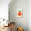 Red Tomato-Jane Foster-Mounted Art Print displayed on a wall