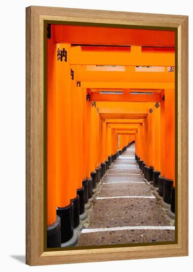 Red Torii Gates, Fushimi Inari Taisha Shrine, Kyoto, Kansai Region, Honshu, Japan, Asia-Gavin Hellier-Framed Premier Image Canvas