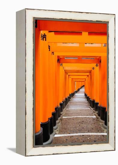 Red Torii Gates, Fushimi Inari Taisha Shrine, Kyoto, Kansai Region, Honshu, Japan, Asia-Gavin Hellier-Framed Premier Image Canvas