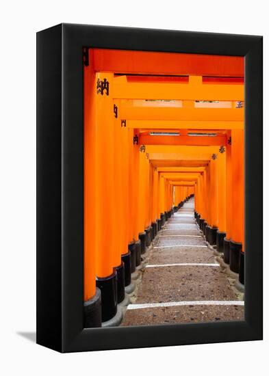 Red Torii Gates, Fushimi Inari Taisha Shrine, Kyoto, Kansai Region, Honshu, Japan, Asia-Gavin Hellier-Framed Premier Image Canvas