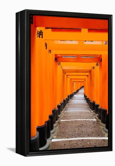 Red Torii Gates, Fushimi Inari Taisha Shrine, Kyoto, Kansai Region, Honshu, Japan, Asia-Gavin Hellier-Framed Premier Image Canvas