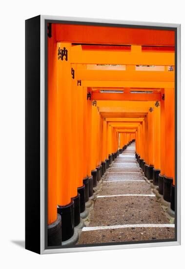Red Torii Gates, Fushimi Inari Taisha Shrine, Kyoto, Kansai Region, Honshu, Japan, Asia-Gavin Hellier-Framed Premier Image Canvas