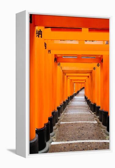 Red Torii Gates, Fushimi Inari Taisha Shrine, Kyoto, Kansai Region, Honshu, Japan, Asia-Gavin Hellier-Framed Premier Image Canvas