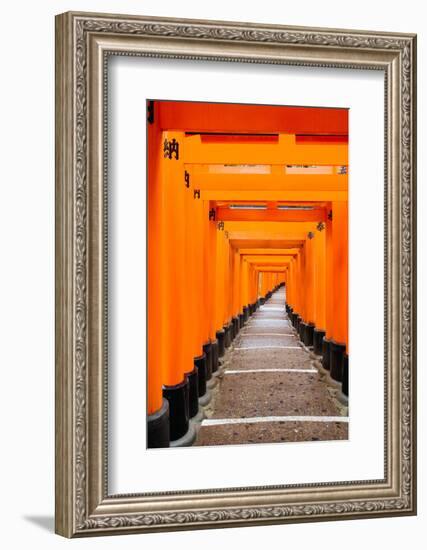 Red Torii Gates, Fushimi Inari Taisha Shrine, Kyoto, Kansai Region, Honshu, Japan, Asia-Gavin Hellier-Framed Photographic Print