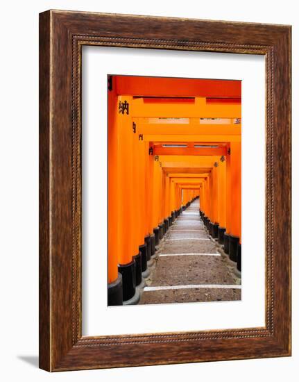 Red Torii Gates, Fushimi Inari Taisha Shrine, Kyoto, Kansai Region, Honshu, Japan, Asia-Gavin Hellier-Framed Photographic Print