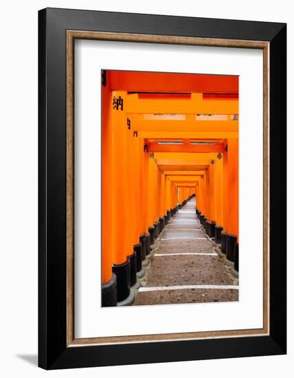 Red Torii Gates, Fushimi Inari Taisha Shrine, Kyoto, Kansai Region, Honshu, Japan, Asia-Gavin Hellier-Framed Photographic Print