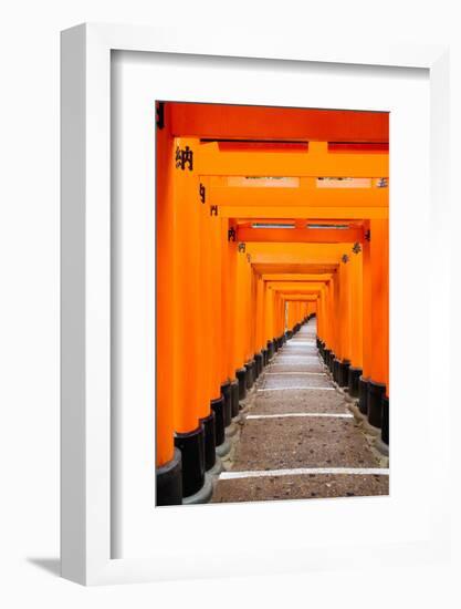 Red Torii Gates, Fushimi Inari Taisha Shrine, Kyoto, Kansai Region, Honshu, Japan, Asia-Gavin Hellier-Framed Photographic Print