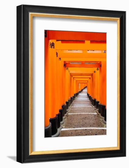 Red Torii Gates, Fushimi Inari Taisha Shrine, Kyoto, Kansai Region, Honshu, Japan, Asia-Gavin Hellier-Framed Photographic Print