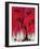 Red Tree I-Natasha Wescoat-Framed Giclee Print