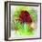 Red Tree M3-Ata Alishahi-Framed Giclee Print