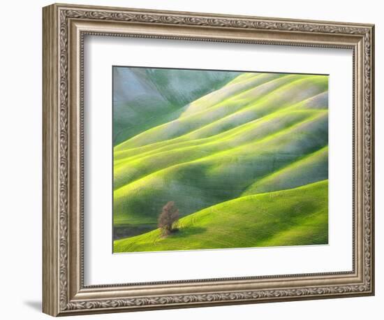 Red Tree-Marcin Sobas-Framed Photographic Print