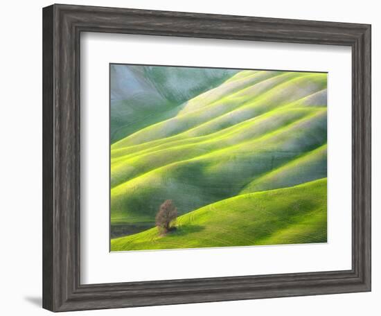 Red Tree-Marcin Sobas-Framed Photographic Print