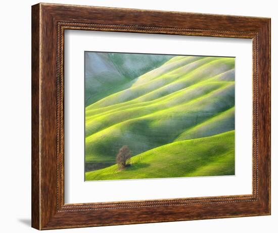 Red Tree-Marcin Sobas-Framed Photographic Print