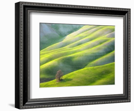 Red Tree-Marcin Sobas-Framed Photographic Print