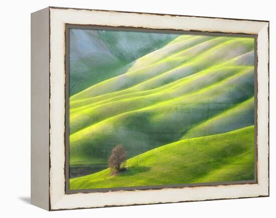 Red Tree-Marcin Sobas-Framed Premier Image Canvas