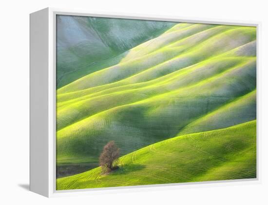 Red Tree-Marcin Sobas-Framed Premier Image Canvas