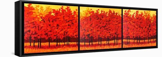 Red Trees Triptych-Patty Baker-Framed Stretched Canvas