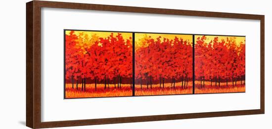 Red Trees Triptych-Patty Baker-Framed Art Print