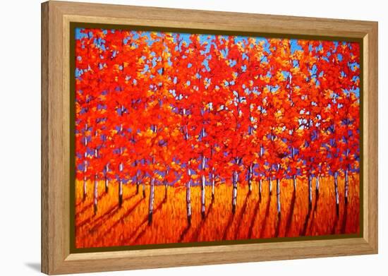 Red Trees-Patty Baker-Framed Stretched Canvas