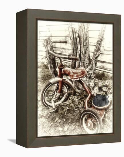 Red Tricycle-Mindy Sommers-Framed Premier Image Canvas