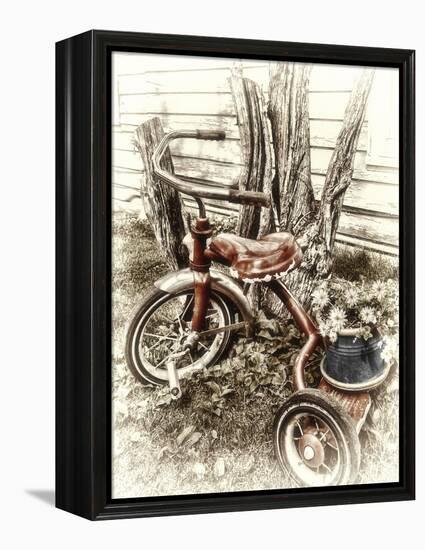 Red Tricycle-Mindy Sommers-Framed Premier Image Canvas