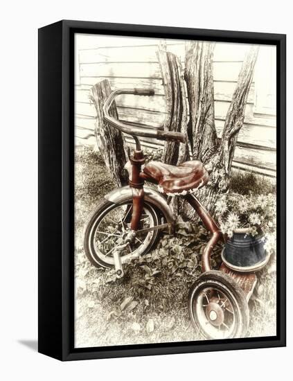 Red Tricycle-Mindy Sommers-Framed Premier Image Canvas