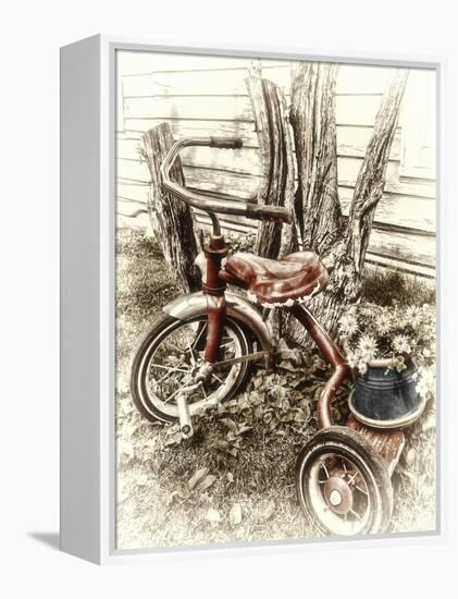 Red Tricycle-Mindy Sommers-Framed Premier Image Canvas