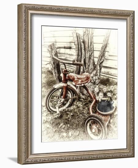 Red Tricycle-Mindy Sommers-Framed Giclee Print