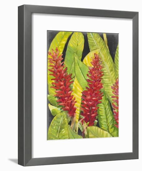 Red Tropical Flowers I-Tim OToole-Framed Art Print