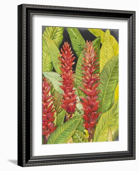 Red Tropical Flowers II-Tim OToole-Framed Art Print