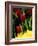 Red Tulip at Roozengaarde Display Garden, Skagit Valley, Washington, USA-William Sutton-Framed Photographic Print